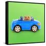 Hamster Driving Miniature Sports Convertible Car-null-Framed Stretched Canvas