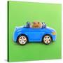 Hamster Driving Miniature Sports Convertible Car-null-Stretched Canvas