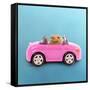 Hamster Driving Miniature Sports Convertible Car-null-Framed Stretched Canvas