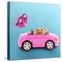 Hamster Driving Miniature Sports Convertible Car-null-Stretched Canvas