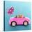 Hamster Driving Miniature Sports Convertible Car-null-Stretched Canvas