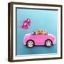 Hamster Driving Miniature Sports Convertible Car-null-Framed Premium Photographic Print