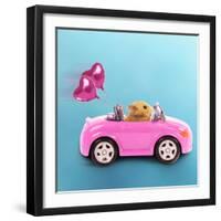 Hamster Driving Miniature Sports Convertible Car-null-Framed Premium Photographic Print