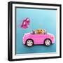 Hamster Driving Miniature Sports Convertible Car-null-Framed Premium Photographic Print