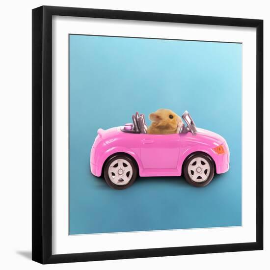 Hamster Driving Miniature Sports Convertible Car-null-Framed Photographic Print