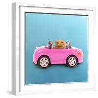 Hamster Driving Miniature Sports Convertible Car-null-Framed Photographic Print