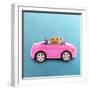 Hamster Driving Miniature Sports Convertible Car-null-Framed Photographic Print