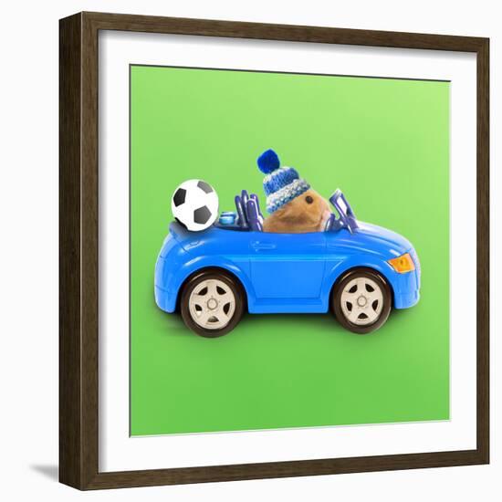 Hamster Driving Miniature Sports Convertible Car-null-Framed Photographic Print