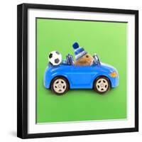 Hamster Driving Miniature Sports Convertible Car-null-Framed Photographic Print