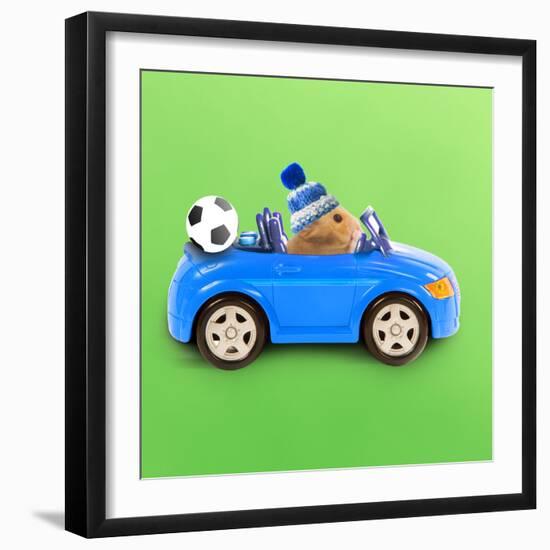 Hamster Driving Miniature Sports Convertible Car-null-Framed Photographic Print