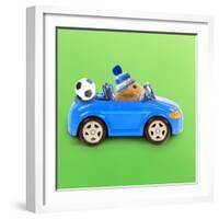 Hamster Driving Miniature Sports Convertible Car-null-Framed Photographic Print