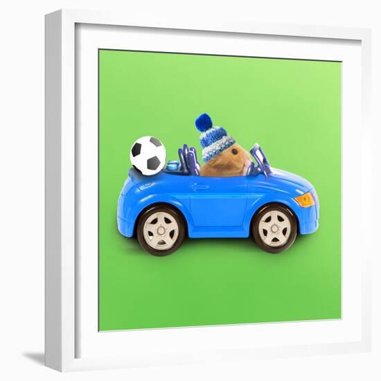 Hamster Driving Miniature Sports Convertible Car-null-Framed Photographic Print