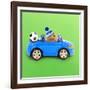 Hamster Driving Miniature Sports Convertible Car-null-Framed Photographic Print