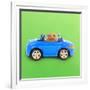 Hamster Driving Miniature Sports Convertible Car-null-Framed Photographic Print