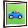 Hamster Driving Miniature Sports Convertible Car-null-Framed Photographic Print