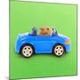 Hamster Driving Miniature Sports Convertible Car-null-Mounted Photographic Print