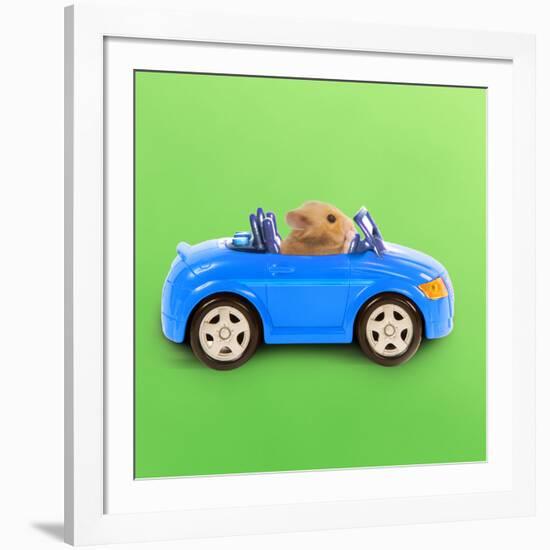 Hamster Driving Miniature Sports Convertible Car-null-Framed Photographic Print