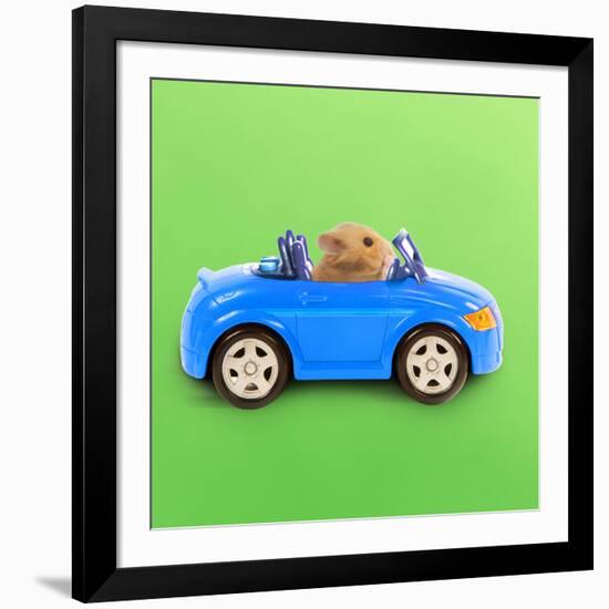 Hamster Driving Miniature Sports Convertible Car-null-Framed Photographic Print