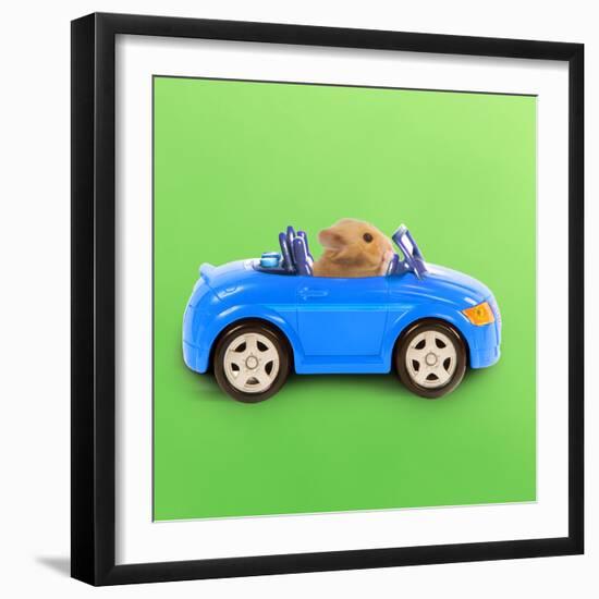 Hamster Driving Miniature Sports Convertible Car-null-Framed Photographic Print