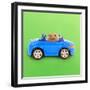 Hamster Driving Miniature Sports Convertible Car-null-Framed Photographic Print