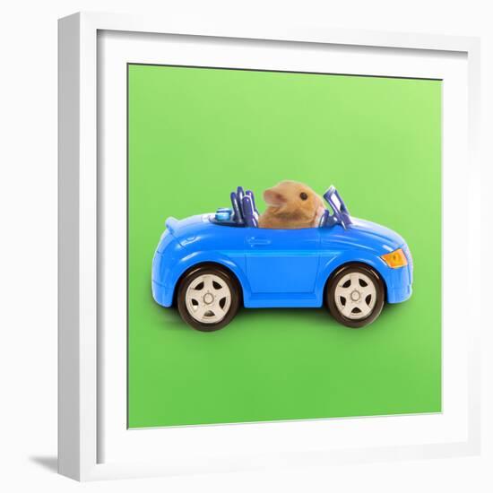 Hamster Driving Miniature Sports Convertible Car-null-Framed Photographic Print