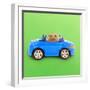 Hamster Driving Miniature Sports Convertible Car-null-Framed Photographic Print