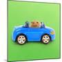 Hamster Driving Miniature Sports Convertible Car-null-Mounted Photographic Print