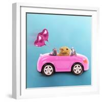 Hamster Driving Miniature Sports Convertible Car-null-Framed Photographic Print