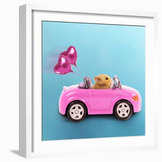 Hamster Driving Miniature Sports Convertible Car-null-Framed Photographic Print