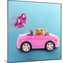 Hamster Driving Miniature Sports Convertible Car-null-Mounted Photographic Print