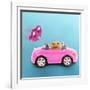 Hamster Driving Miniature Sports Convertible Car-null-Framed Photographic Print