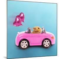 Hamster Driving Miniature Sports Convertible Car-null-Mounted Photographic Print