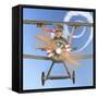 Hamster Flying Aeroplane-null-Framed Stretched Canvas