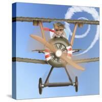 Hamster Flying Aeroplane-null-Stretched Canvas