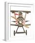 Hamster Flying Aeroplane-null-Framed Photographic Print