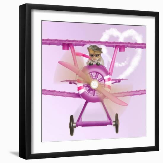 Hamster Flying Aeroplane-null-Framed Photographic Print