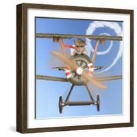 Hamster Flying Aeroplane-null-Framed Photographic Print