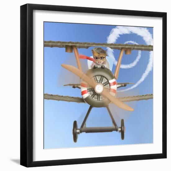 Hamster Flying Aeroplane-null-Framed Photographic Print