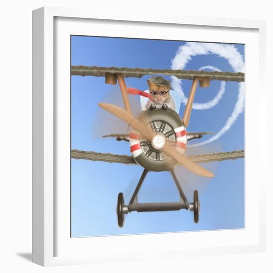 Hamster Flying Aeroplane-null-Framed Photographic Print