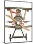 Wood Mount