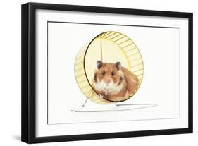 Hamster on Wheel-null-Framed Photographic Print