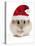 Hamster Wearing Christmas Hat-null-Stretched Canvas