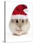 Hamster Wearing Christmas Hat-null-Stretched Canvas