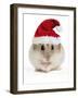 Hamster Wearing Christmas Hat-null-Framed Premium Photographic Print