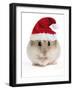 Hamster Wearing Christmas Hat-null-Framed Premium Photographic Print