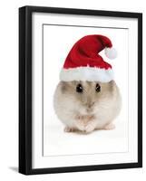 Hamster Wearing Christmas Hat-null-Framed Photographic Print