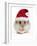 Hamster Wearing Christmas Hat-null-Framed Photographic Print