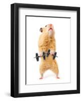 Hamster With Bar Isolated On White-IgorKovalchuk-Framed Photographic Print