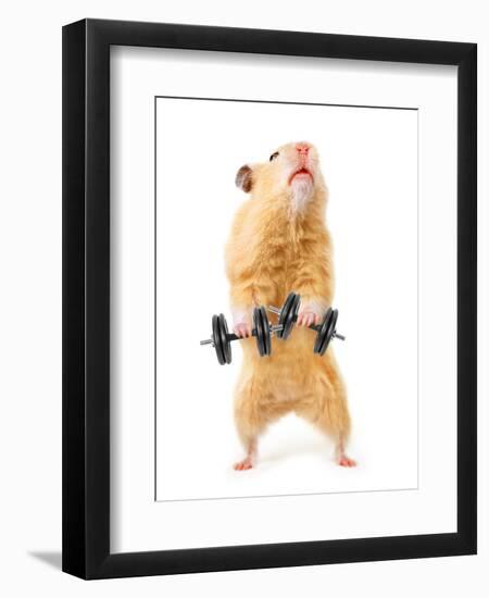 Hamster With Bar Isolated On White-IgorKovalchuk-Framed Photographic Print