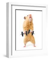 Hamster With Bar Isolated On White-IgorKovalchuk-Framed Photographic Print